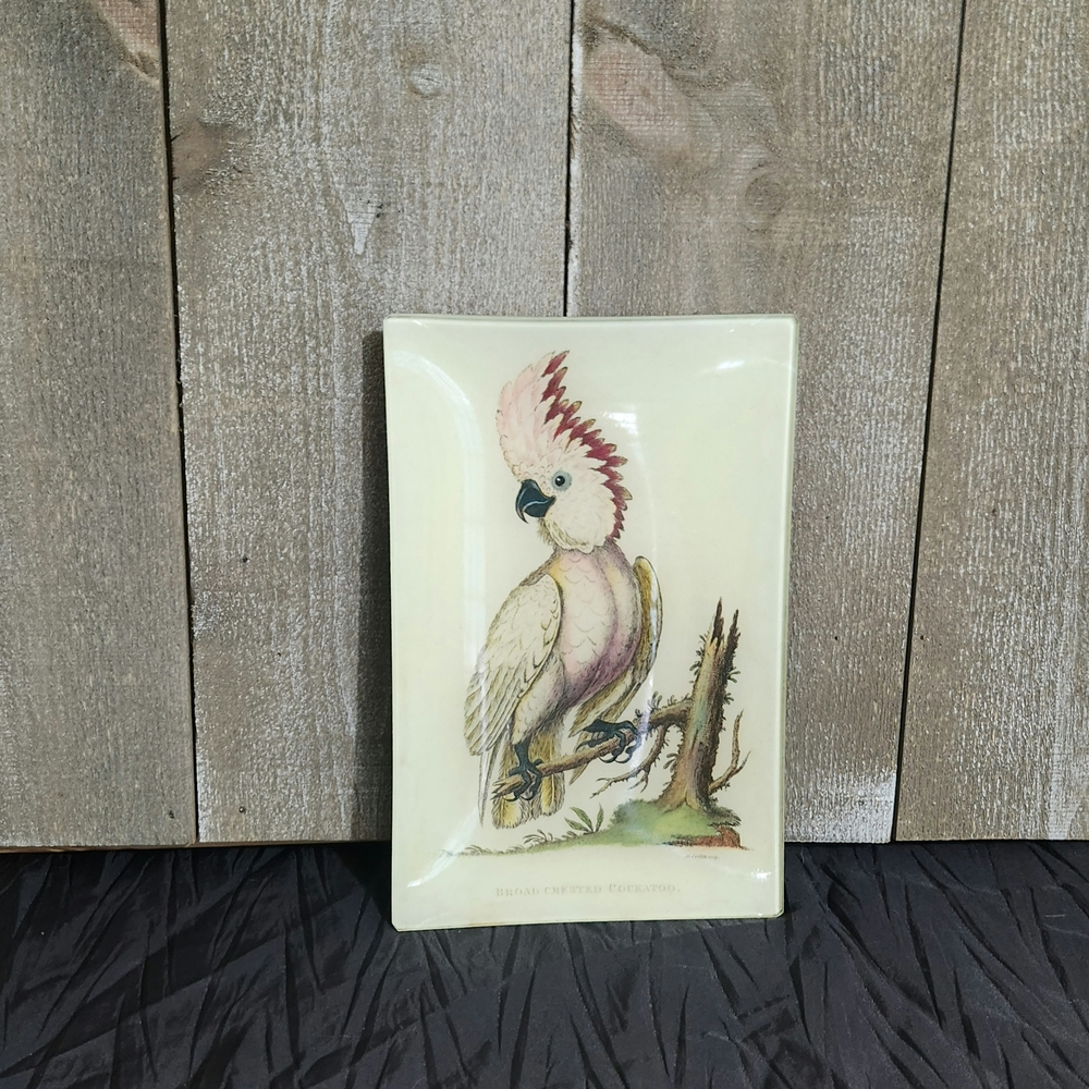 Signed John Derain Artistic Cockatoo Illustration Decoupage Plate 6×9 in